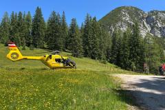 IMG-20250625-WA0010