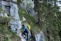 IMG-20260522-WA0017